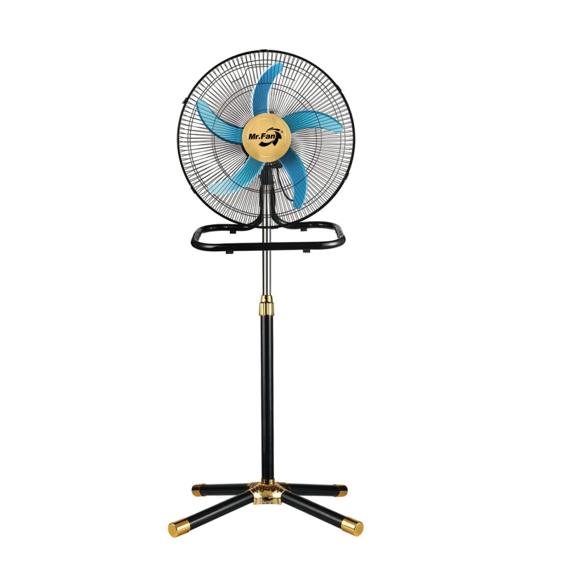 18"Weijixian Family set light soy s